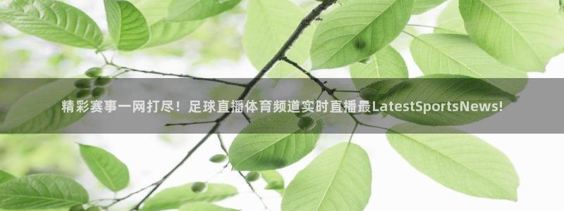 833体育直播免费观看：精彩赛事一网打尽！足球直播体育频道实时直播最LatestSportsNews!