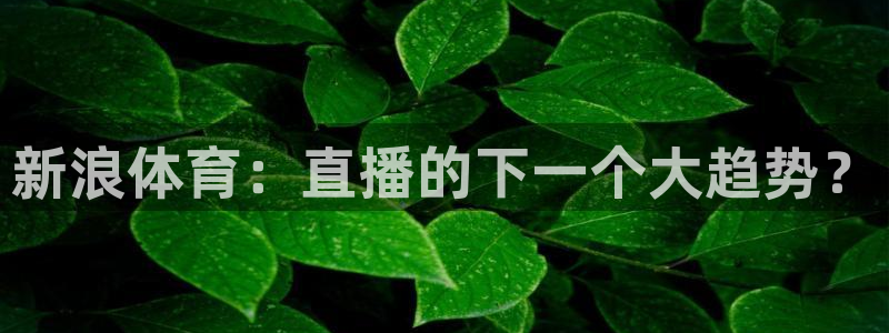新闻图片