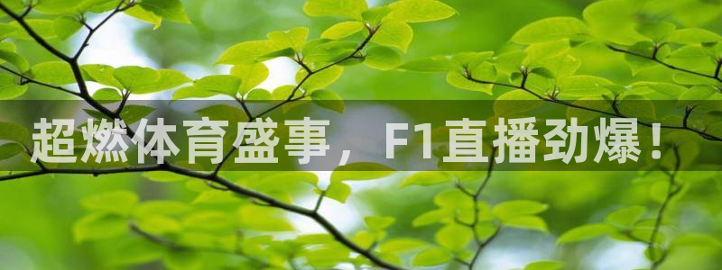 833直播体育