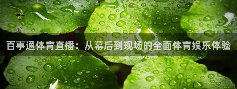 新闻图片