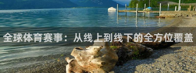 833比赛直播观看：全球体育赛事：从线上到线下的全方位覆盖